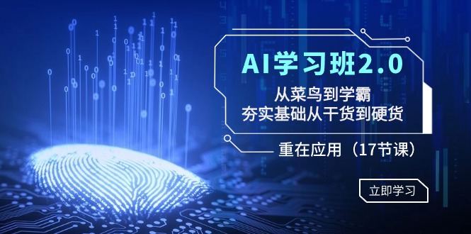 AI学习班2.0：从菜鸟到学霸，夯实基础从干货到硬货，重在应用（17节课）-新星起源