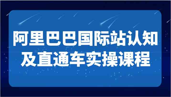 阿里巴巴国际站认知及直通车实操课-国际地产逻辑、国际站运营定位、TOP商家运营思路-新星起源