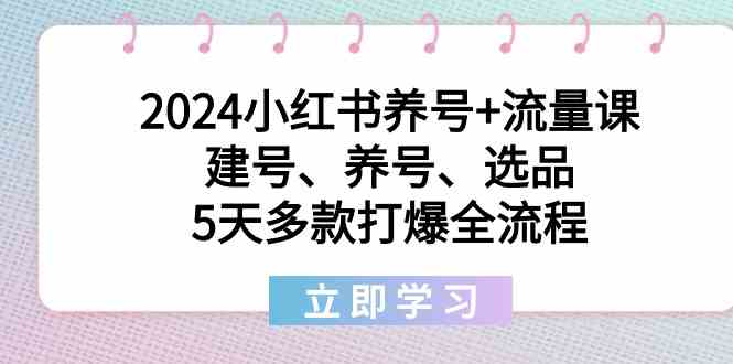 2024小红书养号+流量课：建号、养号、选品，5天多款打爆全流程-新星起源