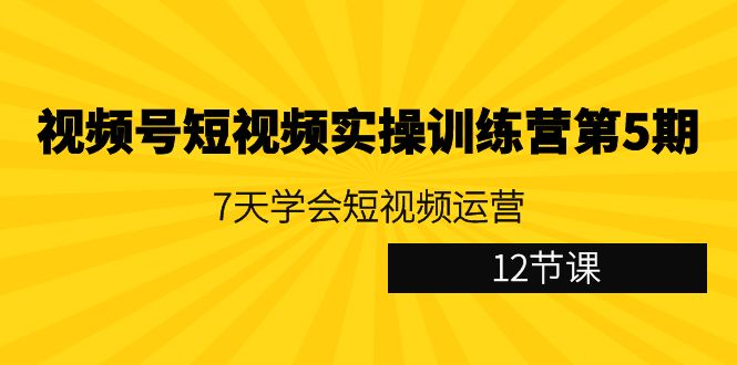 视频号短视频实操训练营第5期：7天学会短视频运营（12节课）-新星起源