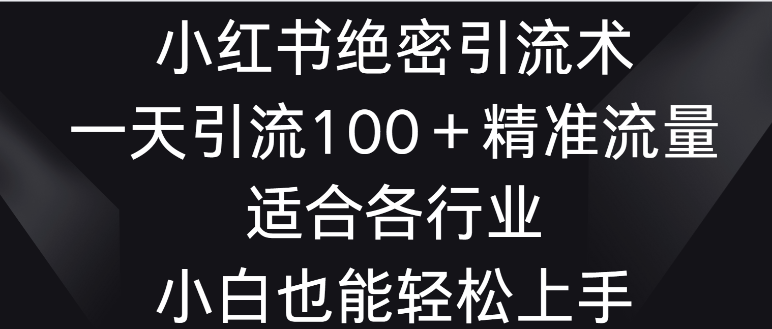 小红书绝密引流术，一天引流100＋精准流量，适合各个行业，小白也能轻松上手-新星起源