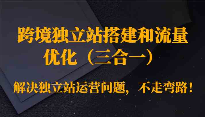 跨境独立站搭建和流量优化（三合一）解决独立站运营问题，不走弯路！-新星起源