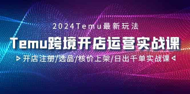 2024Temu跨境开店运营实战课，开店注册/选品/核价上架/日出千单实战课-新星起源