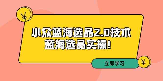 拼多多培训第33期：小众蓝海选品2.0技术-蓝海选品实操-新星起源