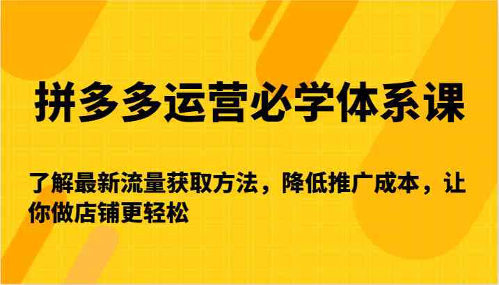 拼多多运营必学体系课-了解最新流量获取方法，降低推广成本，让你做店铺更轻松-新星起源