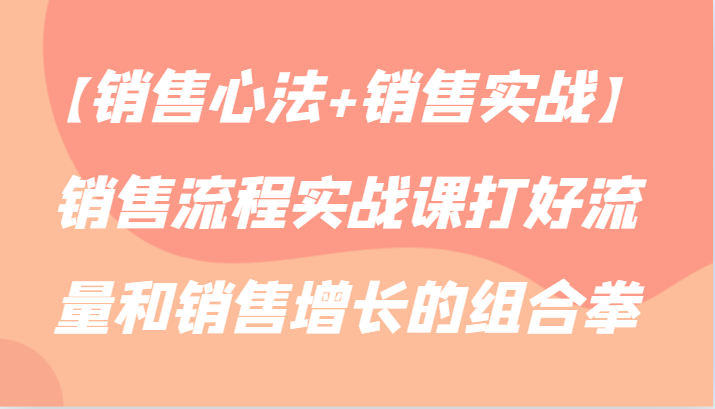 【销售心法+销售实战】销售流程实战课打好流量和销售增长的组合拳-新星起源