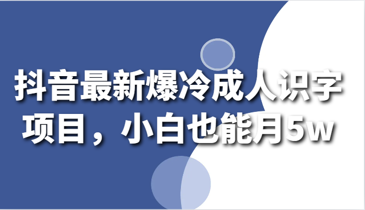 抖音最新爆冷成人识字项目，小白也能月5w-新星起源