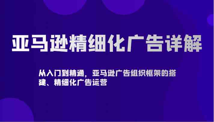 亚马逊精细化广告详解-从入门到精通，亚马逊广告组织框架的搭建、精细化广告运营-新星起源