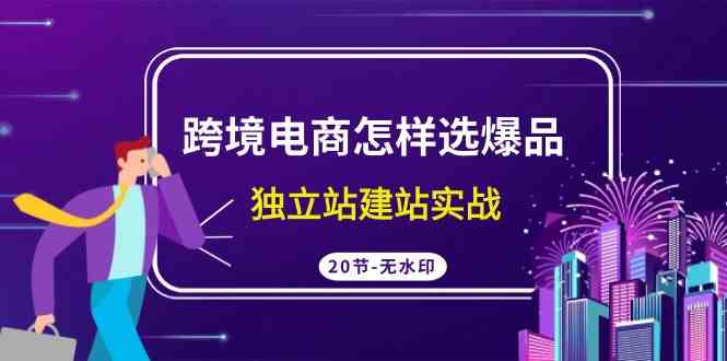 跨境电商怎样选爆品，独立站建站实战（20节高清课）-新星起源