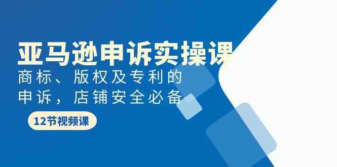 亚马逊申诉实战课，商标、版权及专利的申诉，店铺安全必备-新星起源