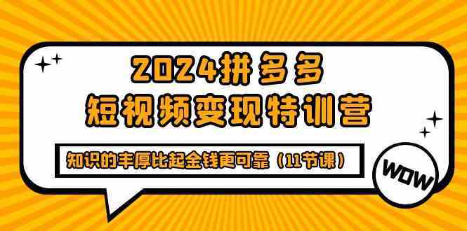 2024拼多多短视频变现特训营，知识的丰厚比起金钱更可靠（11节课）-新星起源