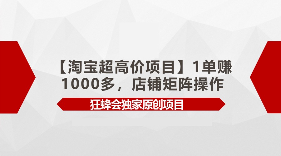 【淘宝超高价项目】1单赚1000多，店铺矩阵操作-新星起源