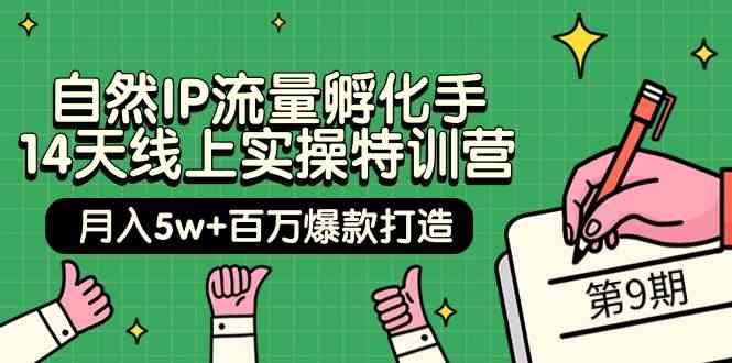 自然IP流量孵化手14天线上实操特训营【第9期】月入5w+百万爆款打造 (74节)-新星起源