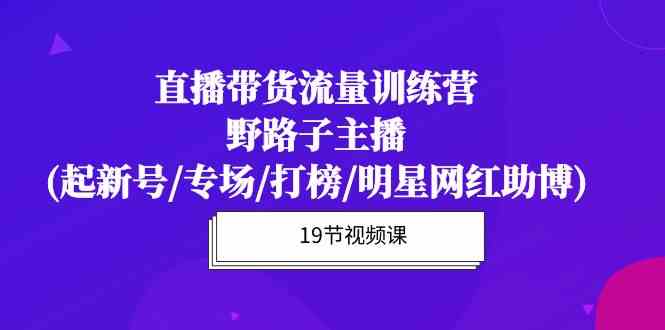 直播带货流量特训营，野路子主播(起新号/专场/打榜/明星网红助博)-新星起源