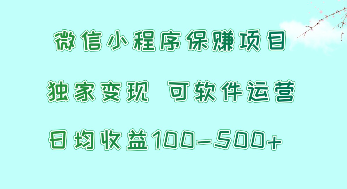 微信小程序保赚项目，日均收益100~500+，独家变现，可软件运营-新星起源