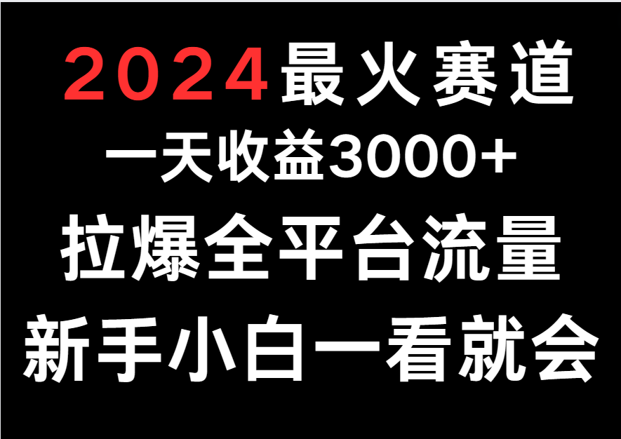 2024最火赛道，一天收一3000+.拉爆全平台流量，新手小白一看就会-新星起源