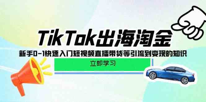 TikTok出海淘金，新手0-1快速入门短视频直播带货等引流到变现的知识-新星起源