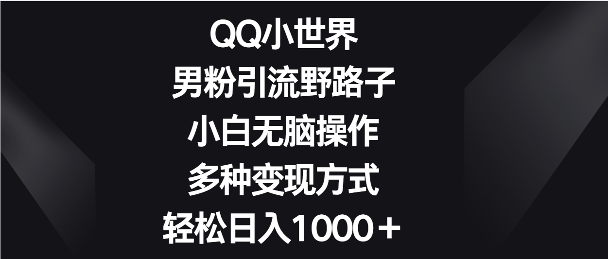 QQ小世界男粉引流野路子，小白无脑操作，多种变现方式轻松日入1000＋-新星起源