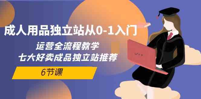 成人用品独立站从0-1入门，运营全流程教学，七大好卖成品独立站推荐（6节课）-新星起源