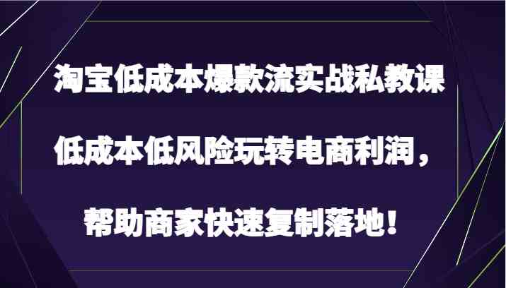 淘宝低成本爆款流实战私教课，低成本低风险玩转电商利润，帮助商家快速复制落地！-新星起源