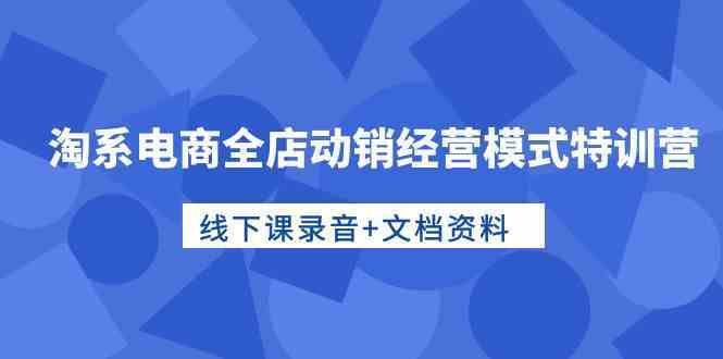 淘系电商全店动销经营模式特训营，线下课录音+文档资料-新星起源