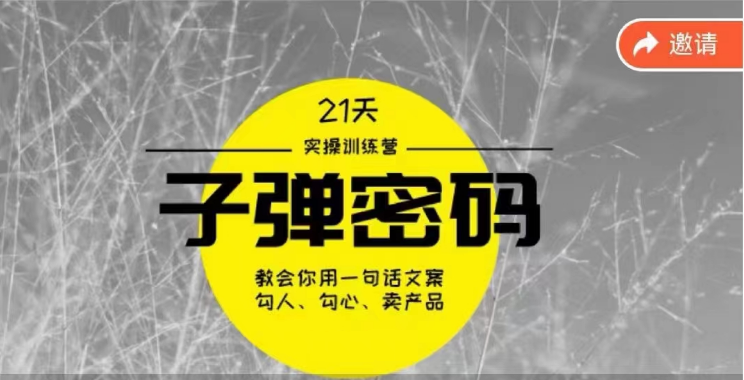 《子弹密码训练营》-用一句话文案勾人勾心卖产品，21天学到顶尖文案大师策略和技巧-新星起源