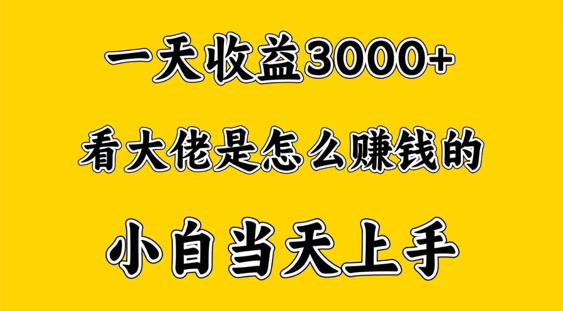 一天赚3000多，大佬是这样赚到钱的，小白当天上手，穷人翻身项目-新星起源