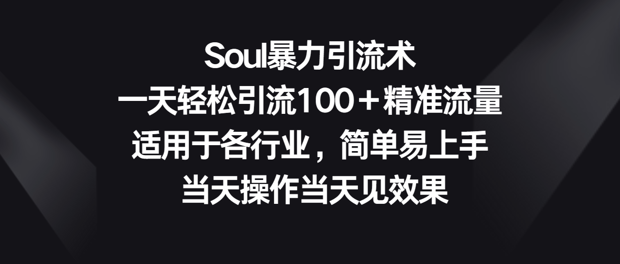 Soul暴力引流术，一天轻松引流100＋精准流量，适用于各行业，简单易上手！-新星起源