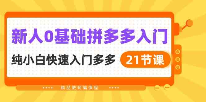 新人0基础拼多多入门，纯小白快速入门多多（21节课）-新星起源