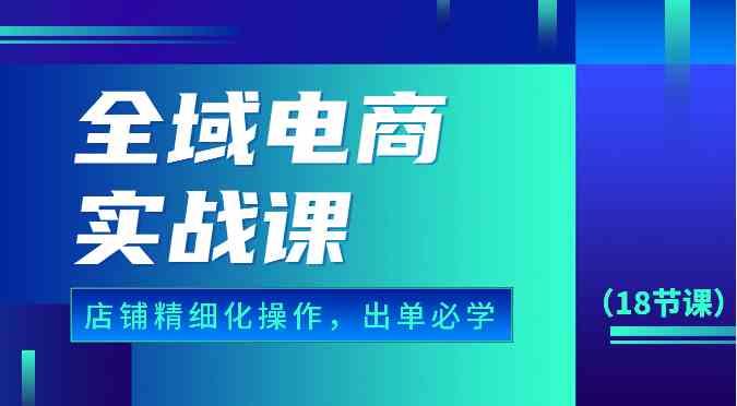 全域电商实战课，个人店铺精细化操作流程，出单必学内容（18节课）-新星起源