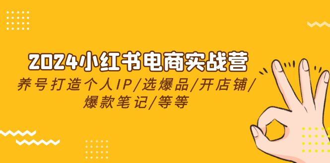 2024小红书电商实战营，养号打造IP/选爆品/开店铺/爆款笔记/等等（24节）-新星起源