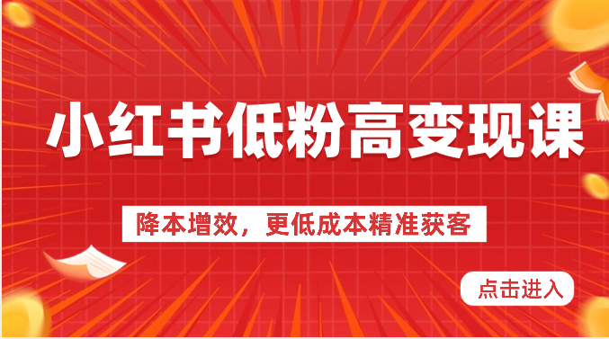 小红书低粉高变现课-降本增效，更低成本精准获客，小红书必爆的流量密码-新星起源