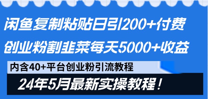 闲鱼复制粘贴日引200+付费创业粉，24年5月最新方法！割韭菜日稳定5000+收益-新星起源