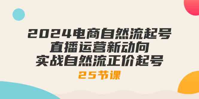 2024电商自然流起号，直播运营新动向 实战自然流正价起号（25节课）-新星起源