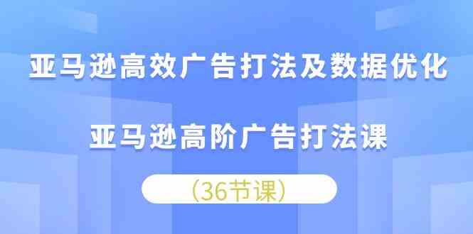 亚马逊高效广告打法及数据优化，亚马逊高阶广告打法课（36节）-新星起源