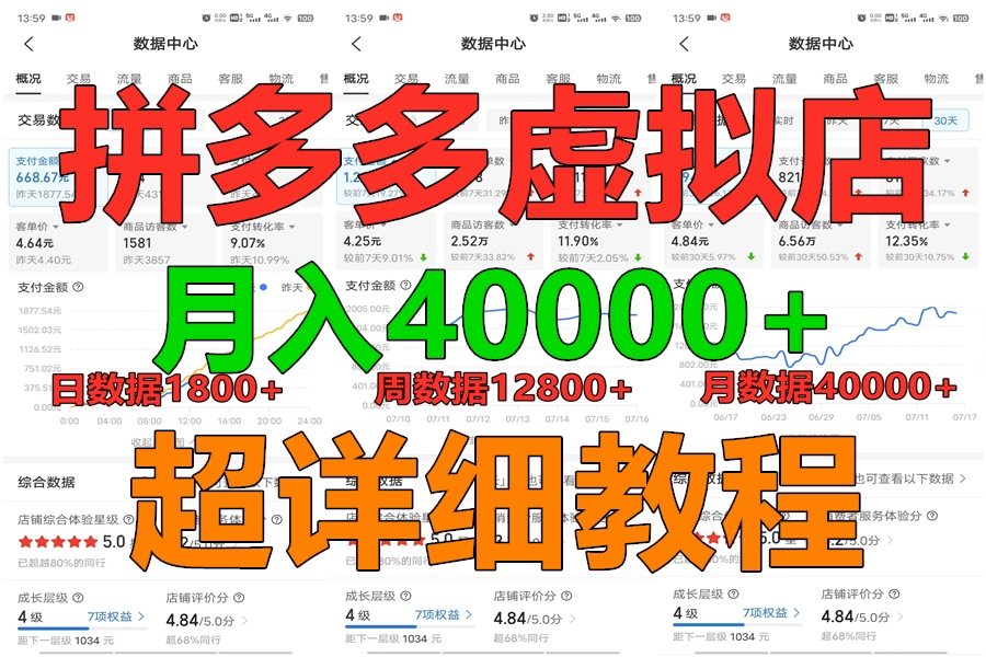 拼多多虚拟电商训练营月入40000+，全网最详细，你做你也行，暴利稳定长久-新星起源