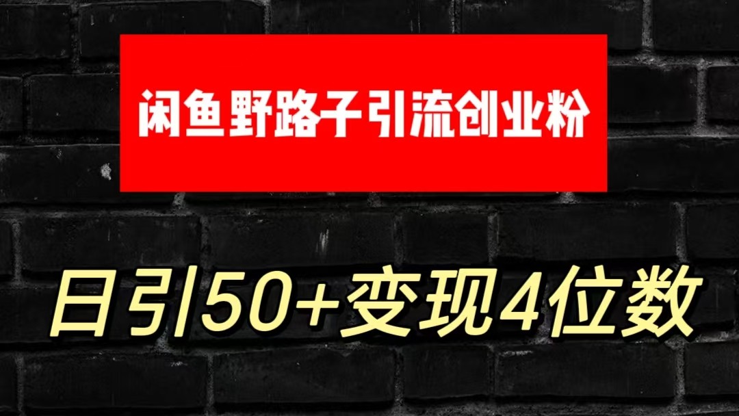 大眼闲鱼野路子引流创业粉，日引50+单日变现四位数-新星起源