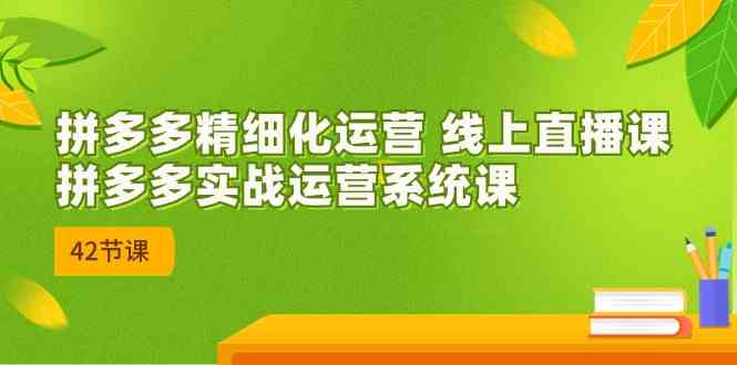 拼多多精细化运营 线上直播课：拼多多实战运营系统课（更新47节）-新星起源