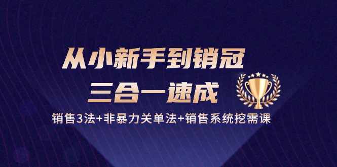 从小新手到销冠三合一速成：销售3法+非暴力关单法+销售系统挖需课 (27节)-新星起源