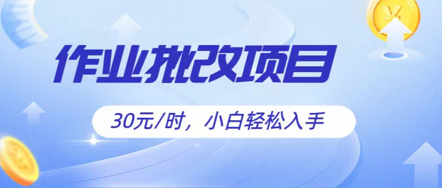 作业批改项目30元/时，简单小白轻松入手，非常适合兼职-新星起源