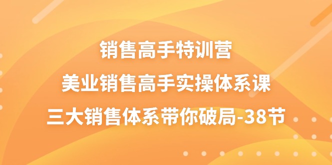 销售高手特训营，美业销售高手实操体系课，三大销售体系带你破局（38节）-新星起源