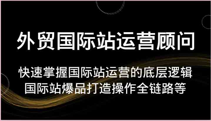 外贸国际站运营顾问-快速掌握国际站运营的底层逻辑，国际站爆品打造操作全链路等-新星起源