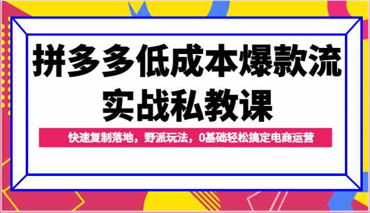 拼多多低成本爆款流实战私教课，快速复制落地，野派玩法，0基础轻松搞定电商运营-新星起源