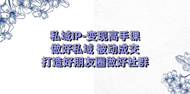 私域IP变现高手课：做好私域被动成交，打造好朋友圈做好社群（18节）-新星起源