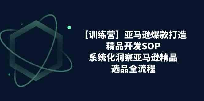 亚马逊爆款打造之精品开发SOP【训练营】，系统化洞察亚马逊精品选品全流程-新星起源