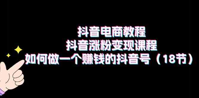 抖音电商教程：抖音涨粉变现课程：如何做一个赚钱的抖音号（18节）-新星起源