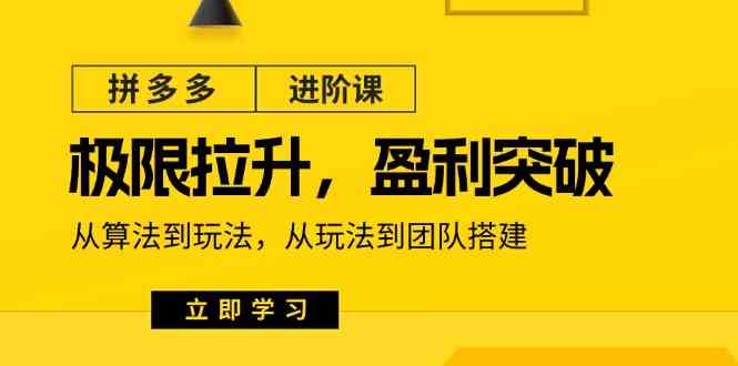 拼多多进阶课：极限拉升/盈利突破：从算法到玩法 从玩法到团队搭建（18节）-新星起源