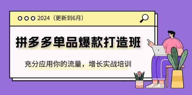 2024拼多多单品爆款打造班，充分应用你的流量，增长实战培训(更新6月)-新星起源