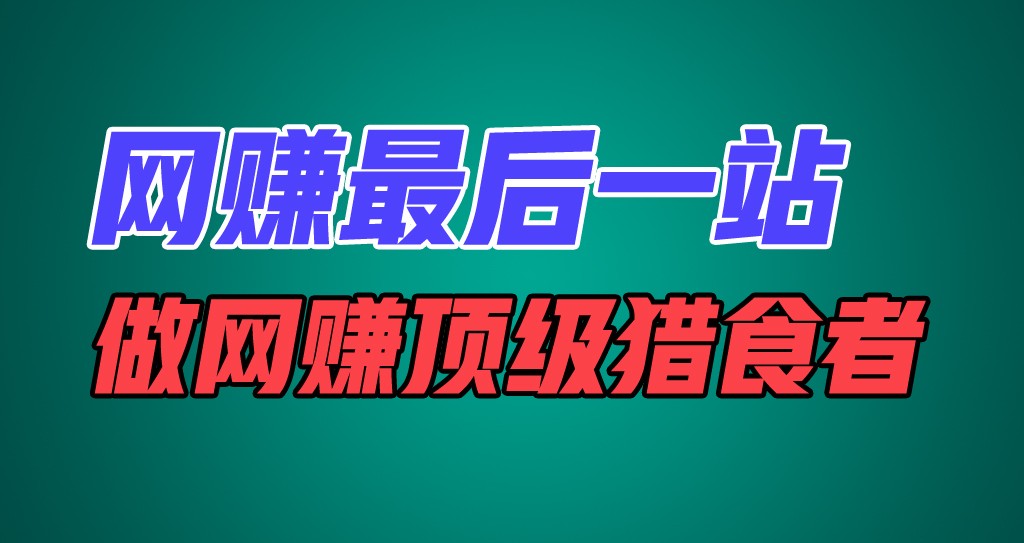 网赚最后一站，卖项目，做网赚顶级猎食者-新星起源