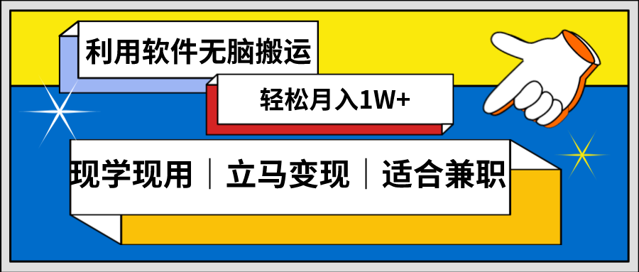 （8496期）低密度新赛道 视频无脑搬 一天1000+几分钟一条原创视频 零成本零门槛超简单-新星起源